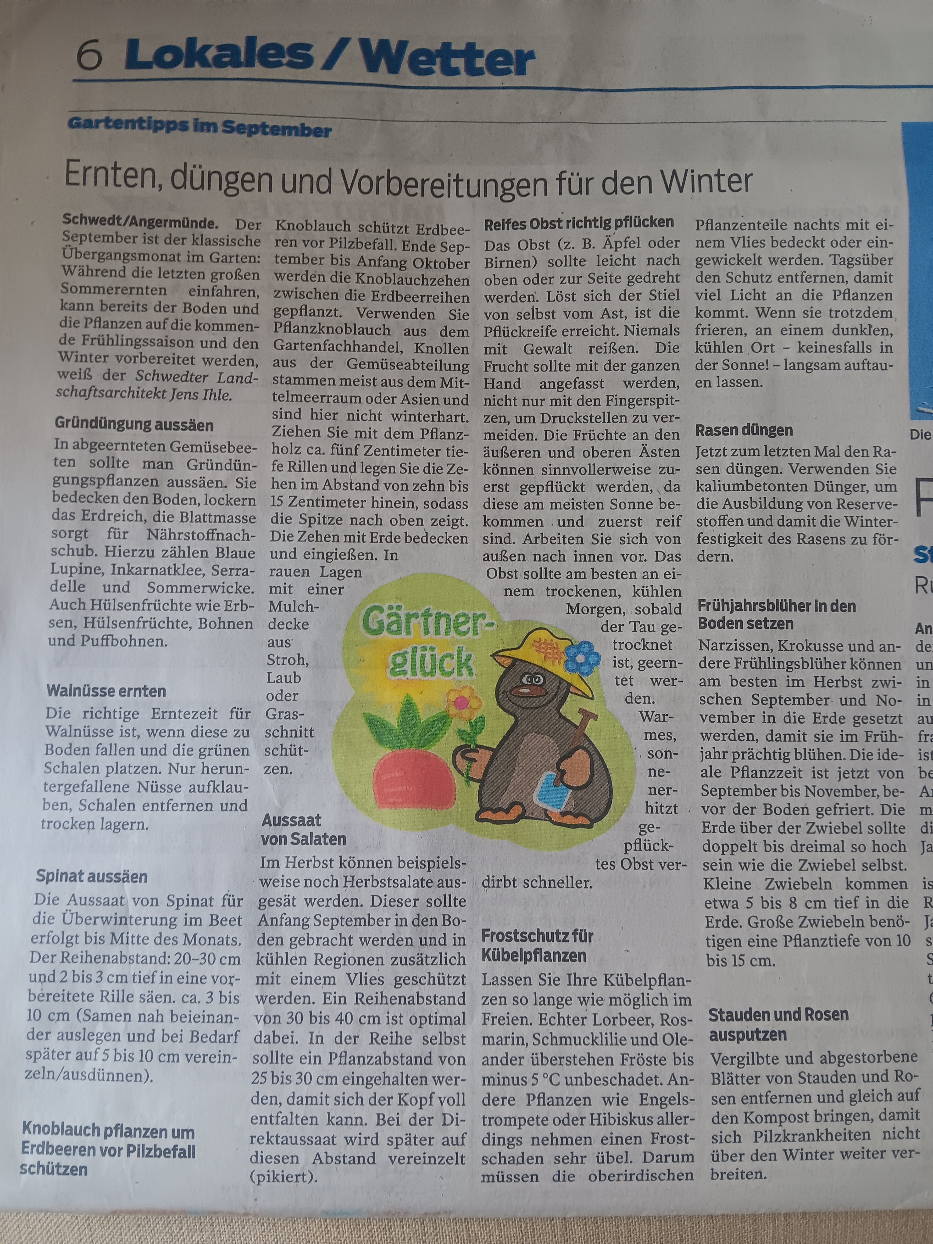 Gartentipps für September 2026
